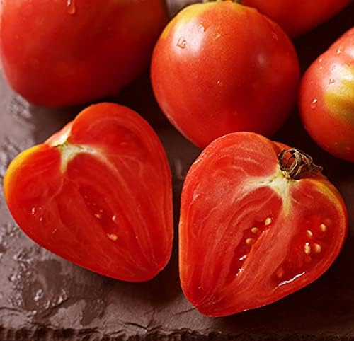 Seeds Tomato Bulls Hearts Red Vegetable for Planting Non GMO