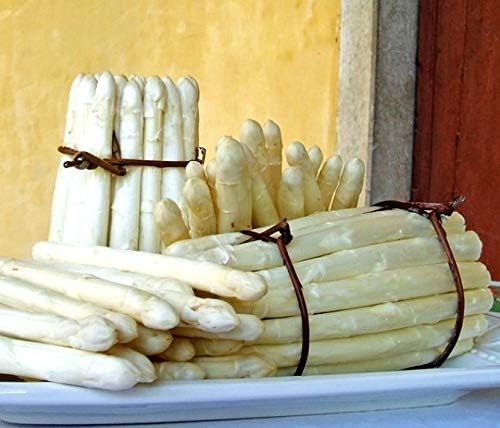 White Asparagus Seeds