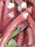 Okra RED Burgundy Great Heirloom Vegetable Seeds by Seed Kingdom (1/4 Lb Seeds)