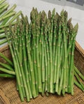 Asparagus Mary Washington Great Heirloom Vegetable by Seed Kingdom Bulk 1 Lb Seeds