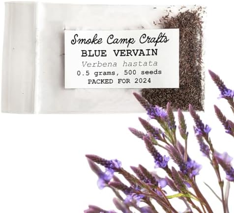 Organic Blue Vervain Seeds (Verbena hastata) 500 Seeds (0.5 Grams) | North America Native Pollinator Plant Seeds - Simpler’s Joy, Swamp Verbena, Swamp Vervain by Smoke Camp Crafts