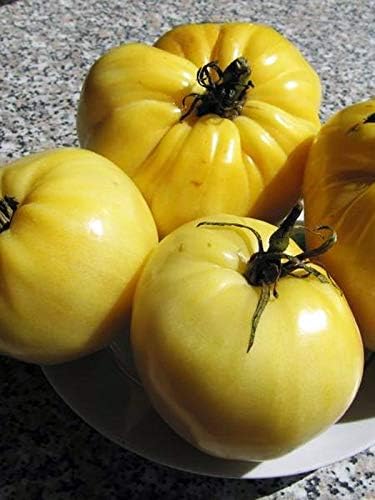 NIKA SEEDS - Seeds Vegetable Beefsteak Tomato Lemon Giant - 40 Seeds