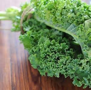 Kale Dwarf Siberian Improved Great Heirloom Vegetable by Seed Kingdom Bulk 5 Lb Seeds