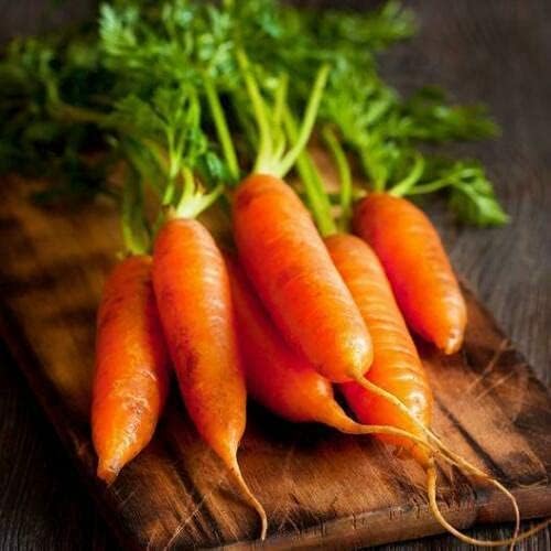 Vegetable Garden Seeds for Planting - Grow Heirloom Vegetables (Little Finger Carrots)