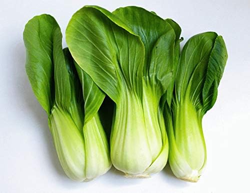 Seeds Bok Choy Chinese - Green Cabbage - Heirloom Vegetable - GMO Free