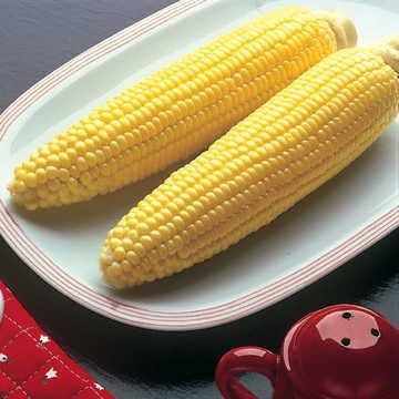 Park Seed Variety of Corn Seeds, Non-GMO Vegetable Seeds for Planting, Easy to Grow, Perfect for Harvesting, Bodacious Hybrid, Pack of 200