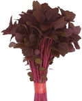 Premium Quality Red Amaranth Lal Shak Seeds Lal Tuktuki for Indoor and Outdoor Growing from Bangladesh