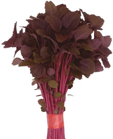 Premium Quality Red Amaranth Lal Shak Seeds Lal Tuktuki for Indoor and Outdoor Growing from Bangladesh