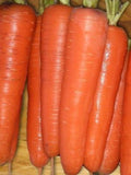 Carrot Tendersweet Great Heirloom Vegetable Seeds by Seed Kingdom (5,000 Seeds)