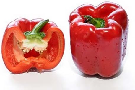Pepper Sweet Big Red Great Heirloom Vegetable by Seed Kingdom 1/4 Lb Seeds