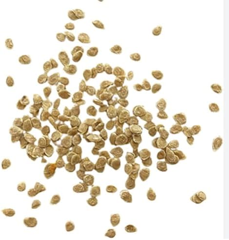 50+ Tigerella Tomato Seeds - Large Tomato - One of The Most Delicious Tomatoes for Home Growing, Non GMO - Neonicotinoid-Free.