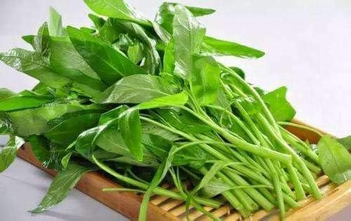 2000 Kangkong Seeds for Planting – Rau Muong Seeds Vietnam Variety – Kong Xin CAI Ong Choy Asian Vegetable for Filipino & Vietnamese Garden Growing