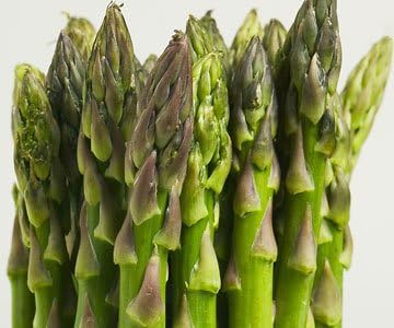 Asparagus Mary Washington Great Heirloom Vegetable by Seed Kingdom 50 Seeds