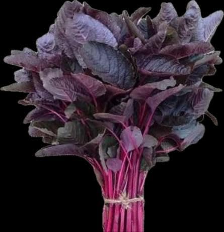 Premium Quality Red Amaranth ॥Lal Shak Seeds ॥ Altapetti Bangladeshi Lal Shak Seeds 100 Grams