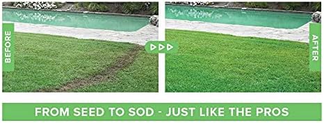 Hydro Mousse Liquid Lawn Kit with Spray n' Stay Technology (High Performance Grass Blend)