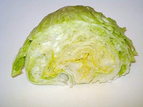 500 Iceberg Lettuce Seeds for planting - Heirloom Non-GMO USA Grown Premium Vegetable Seeds for Planting Home Garden - Crisphead Heading Lettuce Lactuca Sativa by RDR Seeds