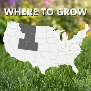 Jonathan Green (10383) Black Beauty Rocky Mountain Colorado Grass Seed Mixture (Made for Colorado, Montana, Utah, and Wyoming) - Cool Season Lawn Seed (7 lb)