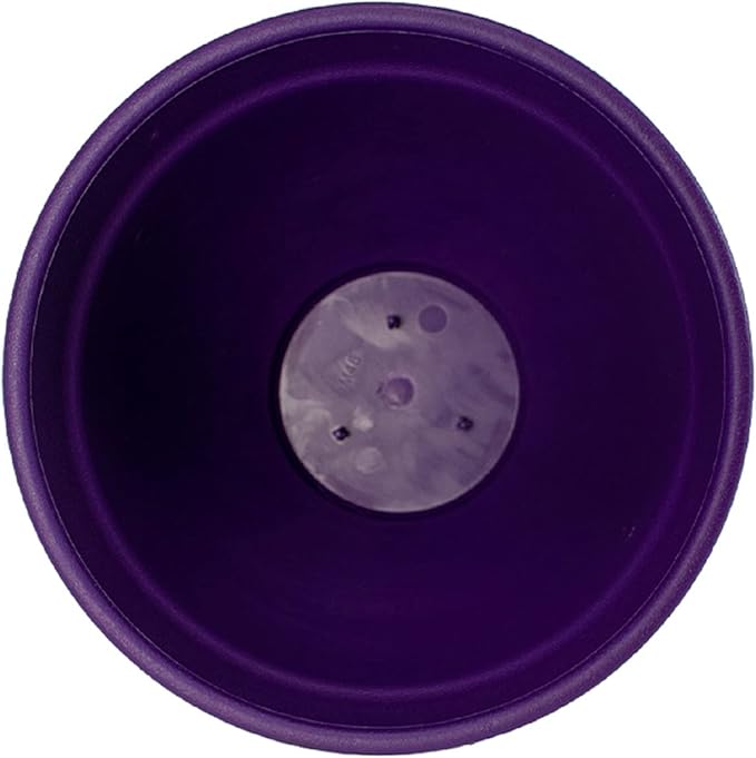 The HC Companies Rings Flower Planter - Self Watering Plant Pots for Herbs & More - Round Lightweight Outdoor & Indoor Planter (10" Purple, Pack of 2)