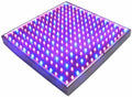 HQRP 225 LED Blue + Red Plant Grow Light Panel 14 Watt w/Hanging Kit Indoor Garden Hydroponic