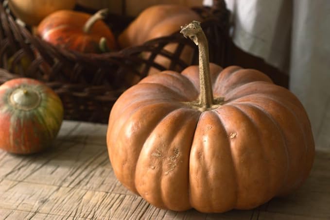 SeedsUP - 10+ Seeds Pumpkin Musquee de Provence - Vegetable Orange