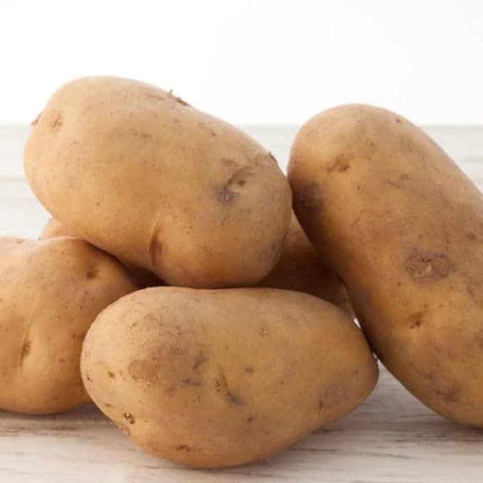 Russet Potato Seeds, 60 Seeds True Potato Seeds, Heirloom Vegetable Seeds for Growing