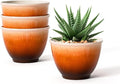 8 Inch Plant Pots with Drainage Hole, 4 Pack Plastic Flower Pots, Modern Sleek Decorative Planter for Indoor Outdoor Plants Succulent Snake (Orange)