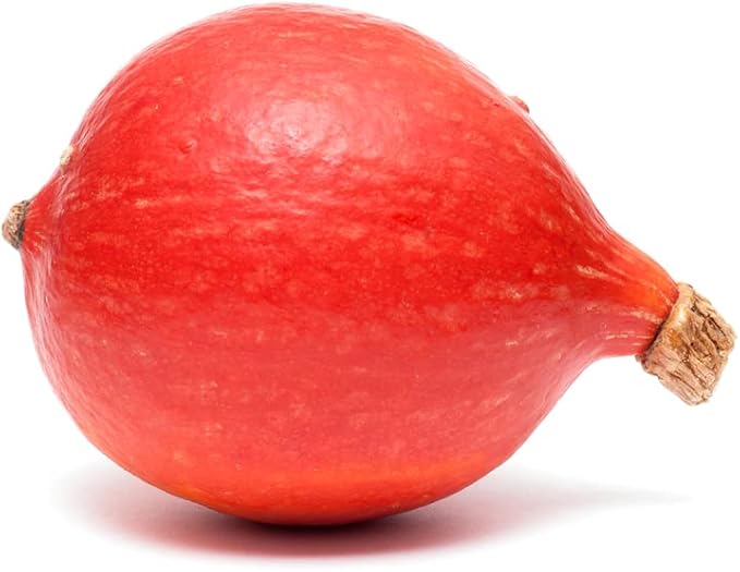 10 Red Kuri Squash Seeds- Open-Pollinated, Japanese kabocha Pumpkin, Easy to Grow
