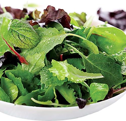 Park Seed Organic Salad Greens Seed Mix – Assorted Lettuces, Arugula, and Mustard Greens for Cool-Season Growing, Fresh Flavorful Blend for Home Gardens or Containers, Pack of 200