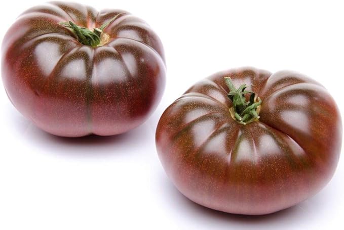 RAISE ME UP: Seeds Black Prince Tomato Indeterminate Rare Variety True Siberian Tomato Non GMO Heirloom