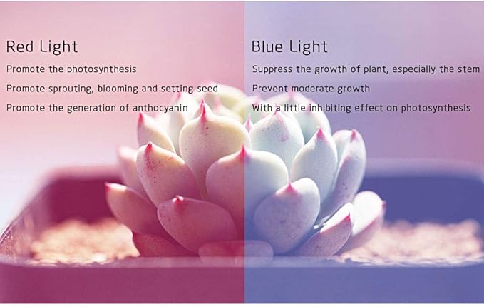 Esbaybulbs 4 Pcs Full Spectrum E26 LED Grow Light Bulb, 28W Grow Plant Light for Hydroponics Greenhouse Organic Indoor Plants
