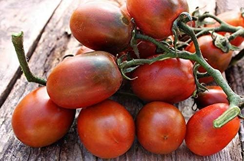 NIKA SEEDS - Seeds Vegetable Black De Barao Tomato - 40 Seeds