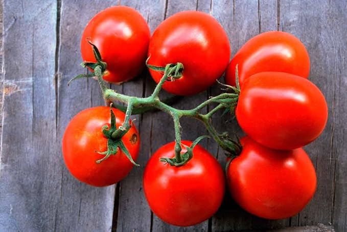 CEMEHA SEEDS - Seeds Red De-Barao Tomato Determinate Non GMO Vegetable for Planting