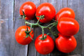 CEMEHA SEEDS - Seeds Red De-Barao Tomato Determinate Non GMO Vegetable for Planting