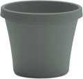 Bloem Terra 4" Diameter Round Basil Resin Planter Pot with Pre-Drilled Drainage Holes for Indoor and Outdoor Gardening