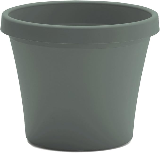 Bloem Terra 4" Diameter Round Basil Resin Planter Pot with Pre-Drilled Drainage Holes for Indoor and Outdoor Gardening