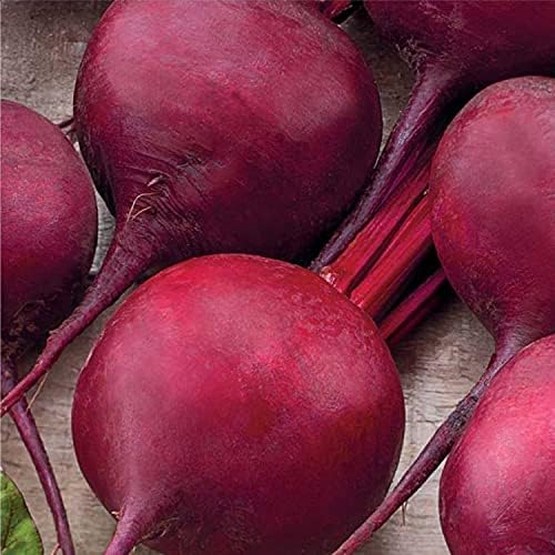 Seeds Vegetable Beet Red Ball Round Beetroot Heirloom for Canning - 100 Seeds