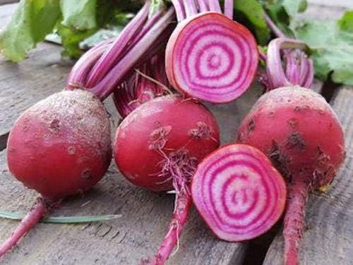 Seeds Vegetable Rare Beet Chioggia (Barbabietola di Chioggia, Bassano) Beetroot White-Pink Rings Heirloom - 100 Seeds