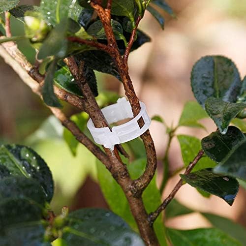 100Pcs White Plastic Trellis Clip Plants Support Clips, Tomato Clips, Plants Support Structures, Cages Plants Vine Vegetable Fastening Clip Grafting Tools Make Plants Grow Upright