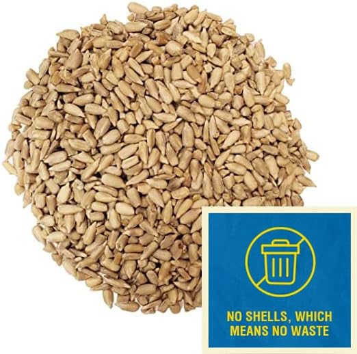 CountryMax Coarse Sunflower Hearts Bird Seed Kernels – Premium No-Shell Feed for Wild Birds, Mess-Free, High-Energy Nutrition (20 Pounds)