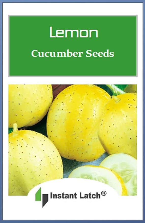 50 Lemon Cucumber Seeds for Planting Non GMO Heirloom Seeds Fresh Garden Seed