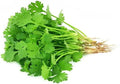 Dirt Goddess Super Seeds Bulk Organic Cilantro (Coriander) Seed NON GMO