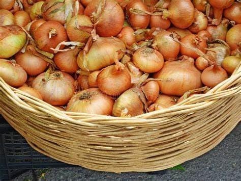 Simply Seed™ - Sweet Yellow Onion Bulbs - Naturally Grown - Non GMO - Grow Anywhere - American Raised