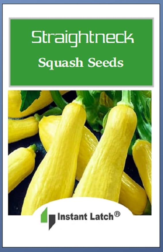 20 Straightneck Squash Seeds | Non-GMO | Fresh Garden Seeds