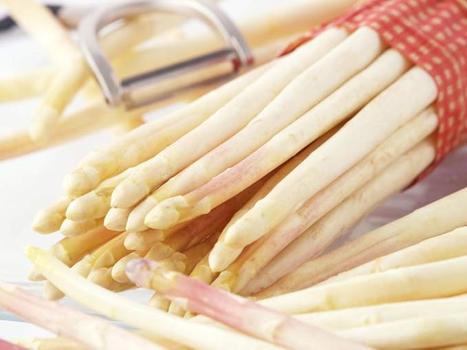 Seeds Vegetable Asparagus White - 30 Seeds