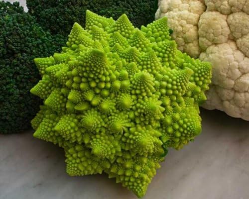 Cauliflower Romanesco Great Heirloom Vegetable 15 Seeds