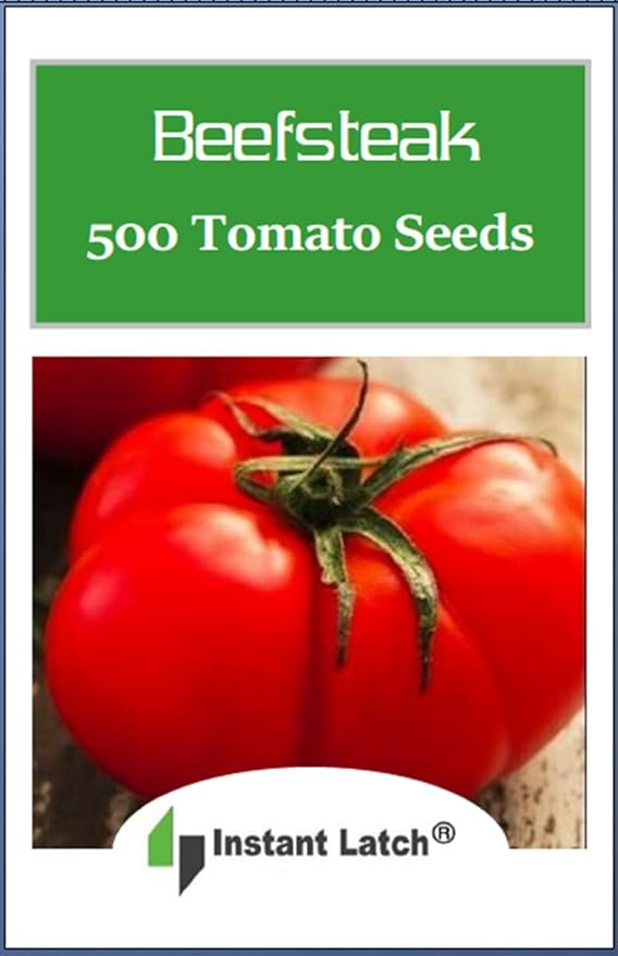 500 Beefsteak Tomato Seeds for Planting USA Heirloom Tomato Seeds Fresh Non GMO Vegetable Seed Packet