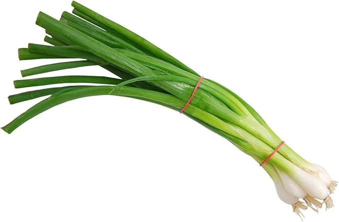 Todd's Seeds Evergreen Bunching Nebuka Onion Heirloom Seed