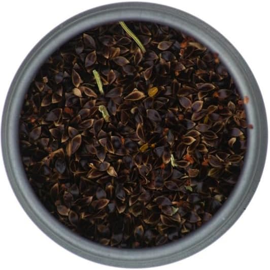 3000+ Premium French Sorrel Seeds for Planting – Low Maintainance, Easy to Grow, High-Yield– Non-GMO Heirloom Seeds