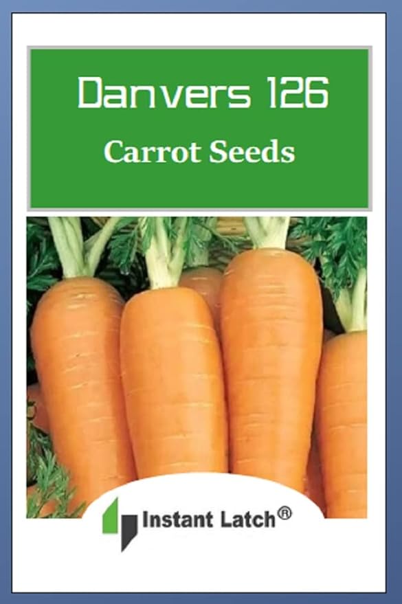 750 Danvers Carrot Seeds for Planting Non GMO Heirloom Seeds Fresh Vegetable Garden Seed
