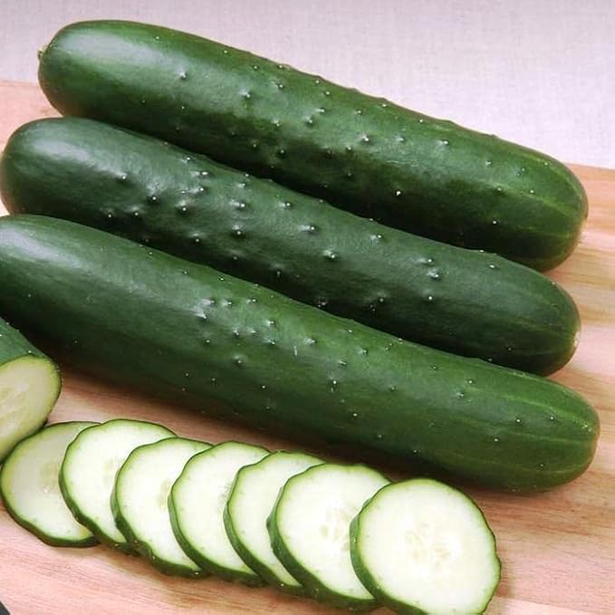 SeedsUP - 10+ Seeds Indoor Cucumber Zozula F1 Self-Pollinating - Vegetable Green